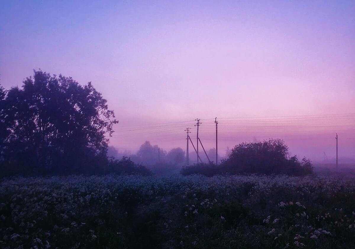 九游娱乐官网：开启无限游戏乐趣的新天地